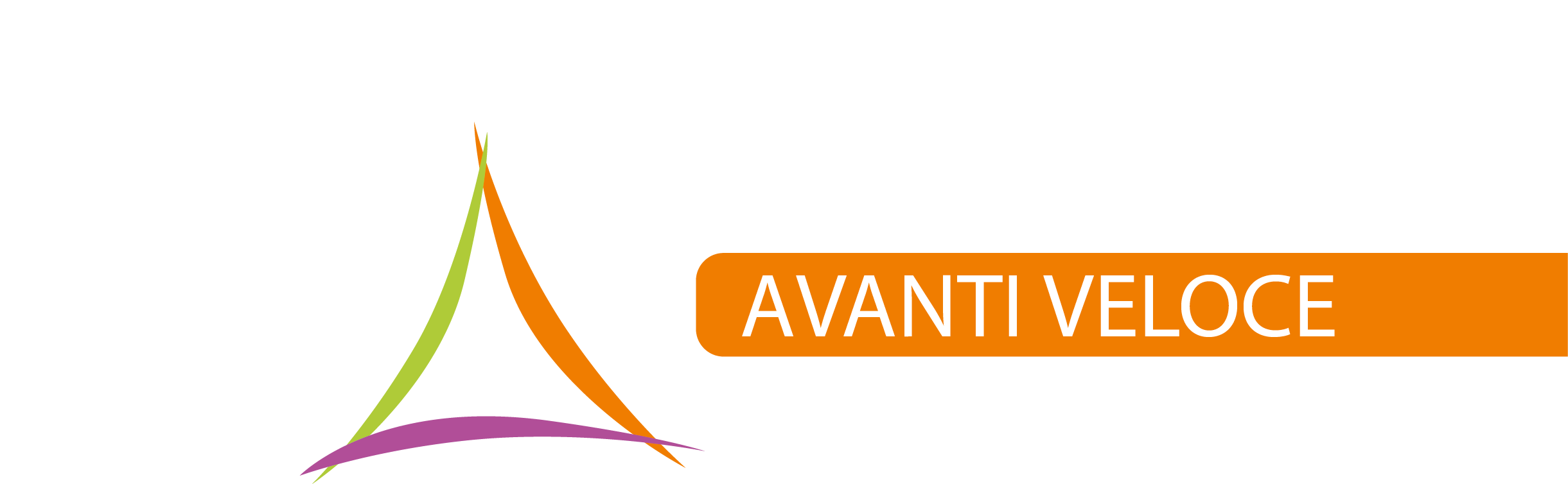 Logo_TopConsult_bianco
